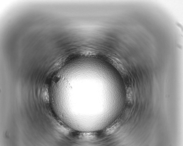 X0000093770622200710301206