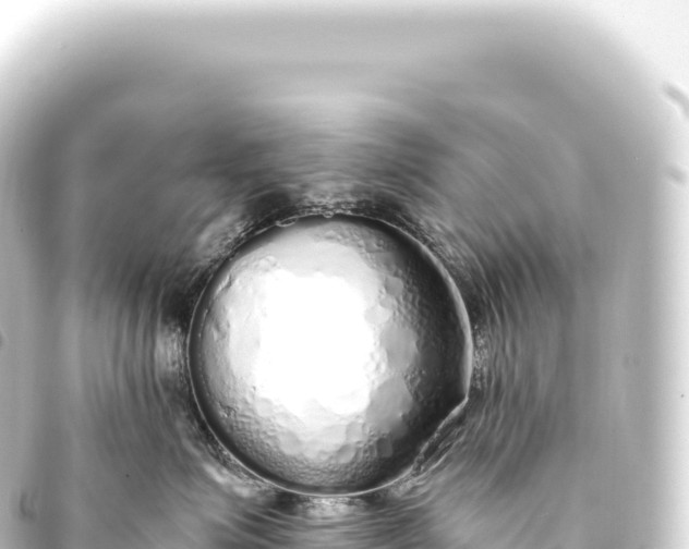 X0000093770623200710301206