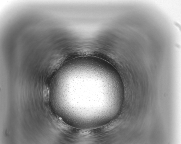 X0000093770624200710301206