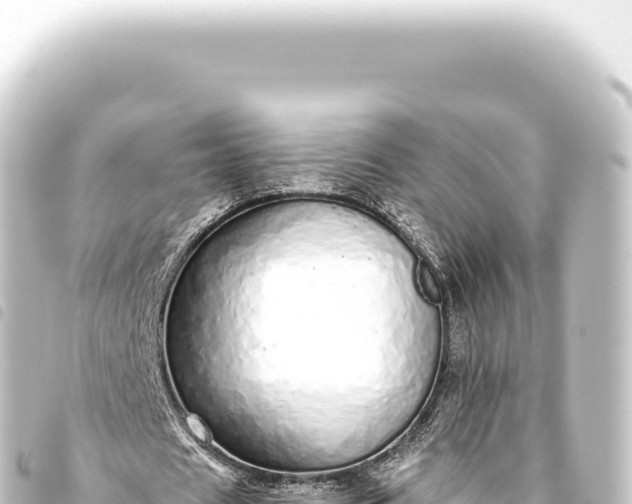 X0000093770625200710301206