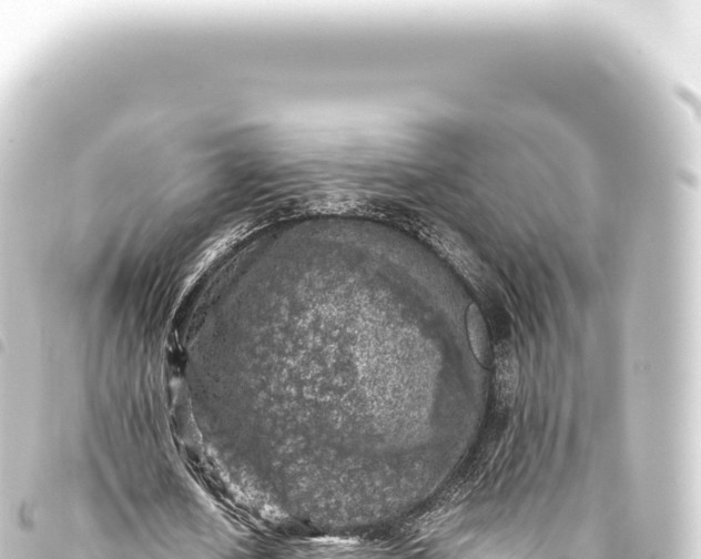 X0000093770626200710301206