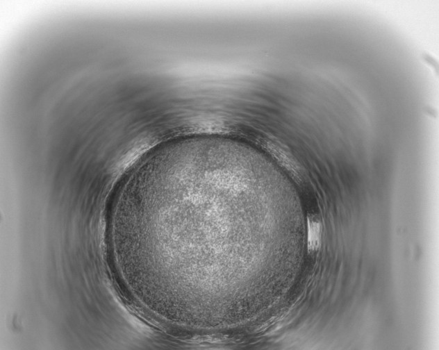 X0000093770627200710301206