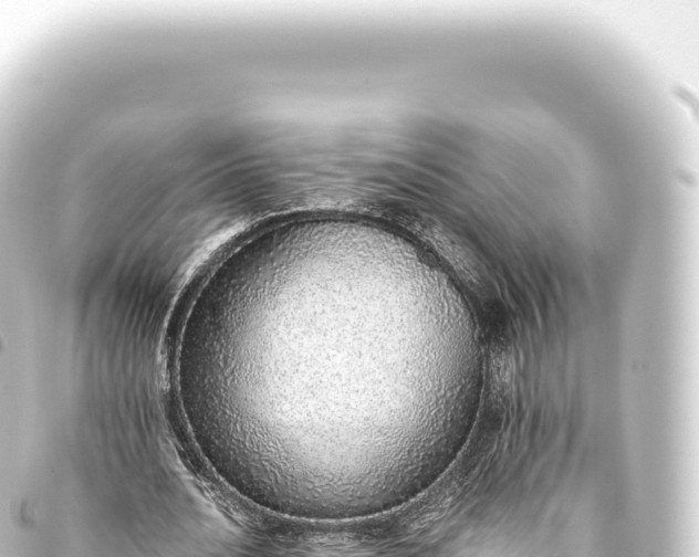 X0000093770628200710301206