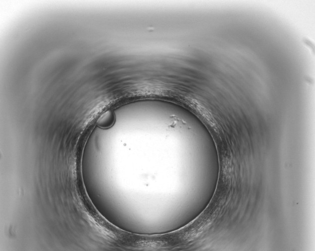 X0000093770629200710301206