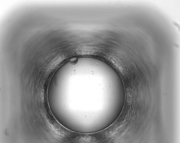 X0000093770631200710301206