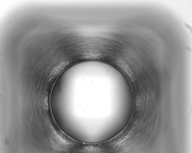 X0000093770633200710301206