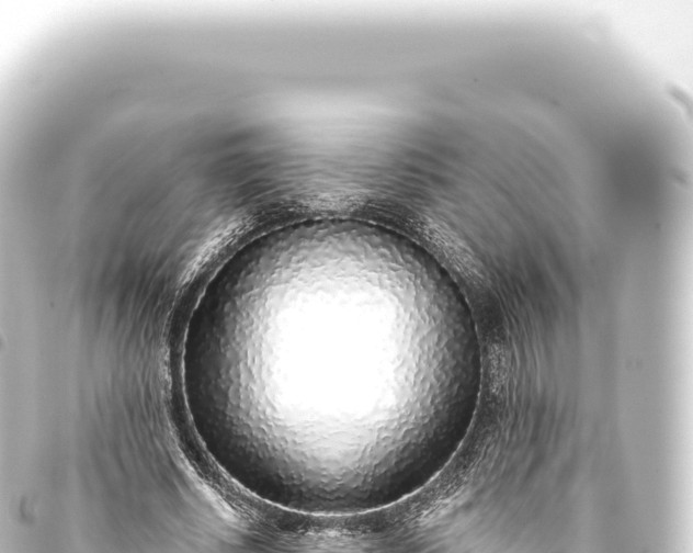 X0000093770634200710301206