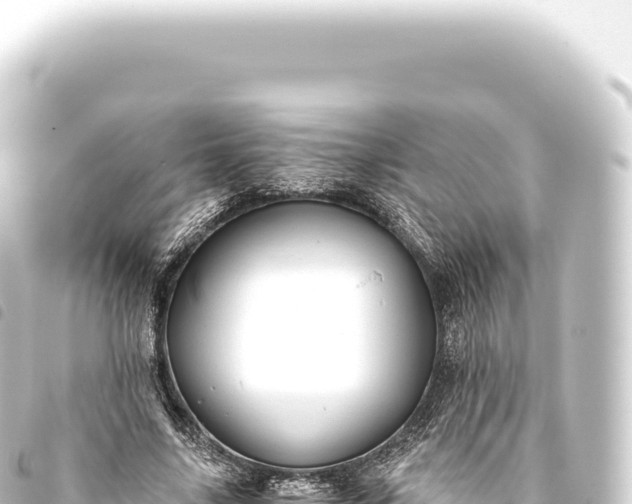 X0000093770635200710301206