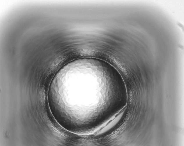 X0000093770637200710301206