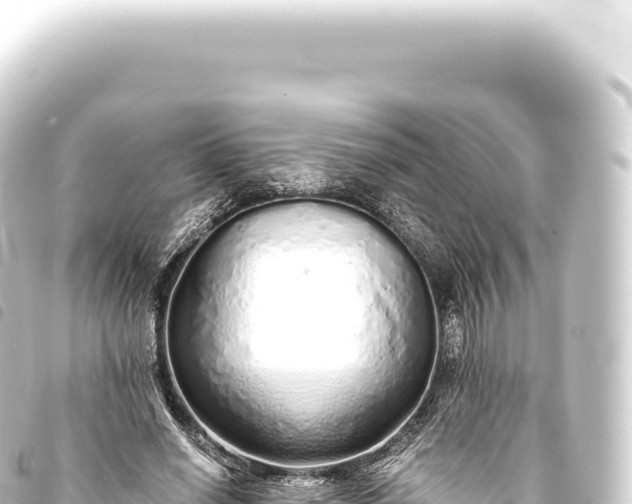 X0000093770638200710301206