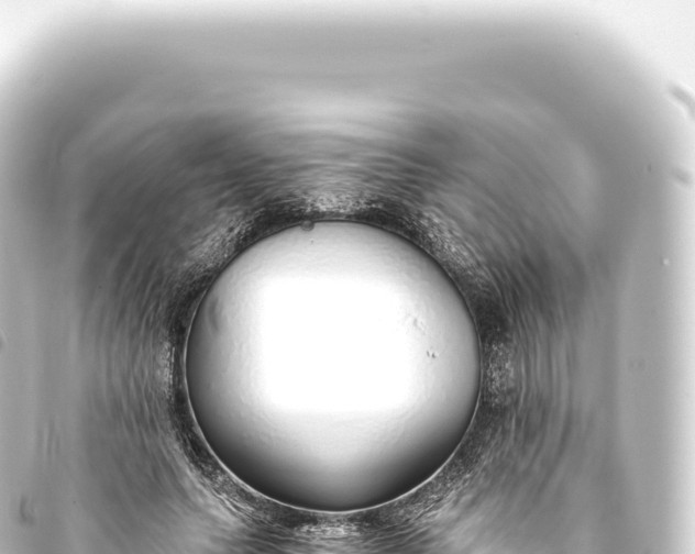 X0000093770639200710301206