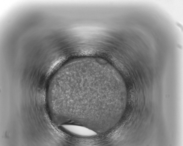 X0000093770640200710301206