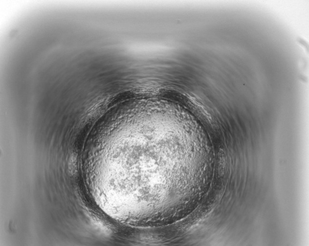 X0000093770641200710301206