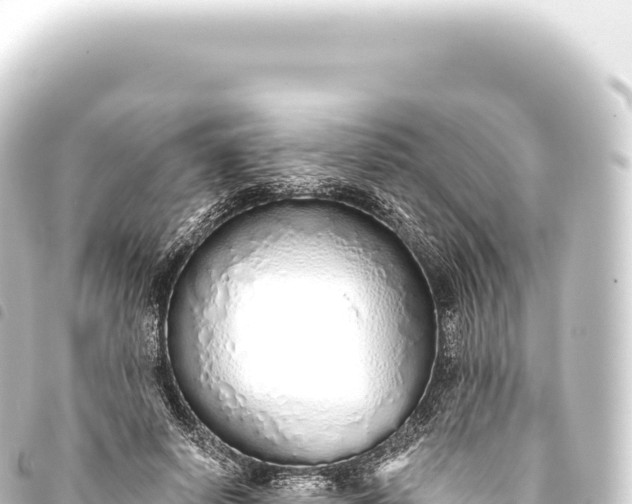 X0000093770642200710301206