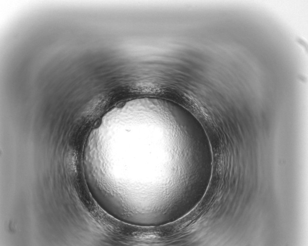 X0000093770643200710301206