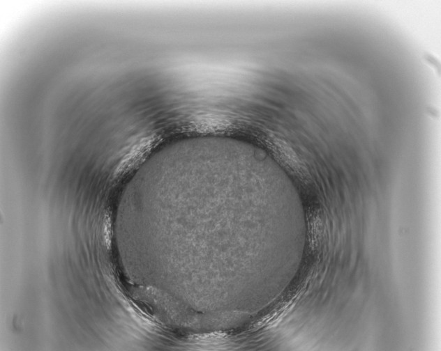 X0000093770644200710301206