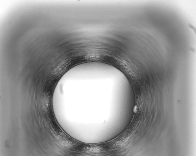 X0000093770645200710301206