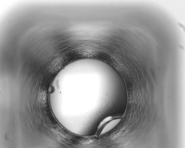 X0000093770646200710301206