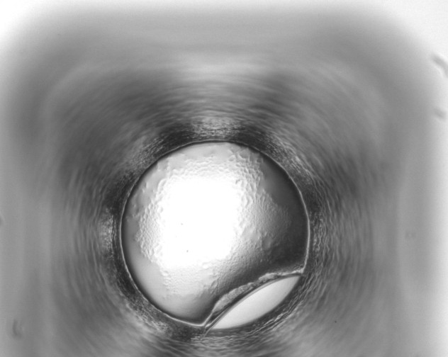 X0000093770647200710301206