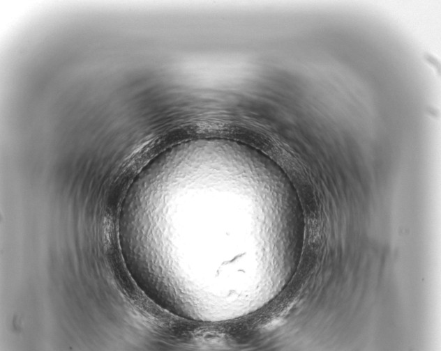 X0000093770648200710301206