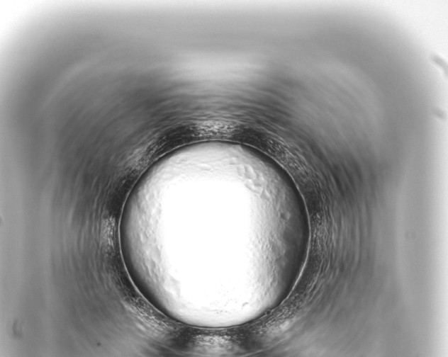 X0000093770649200710301206