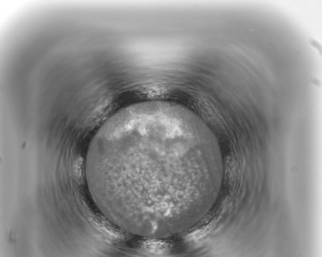 X0000093770650200710301206