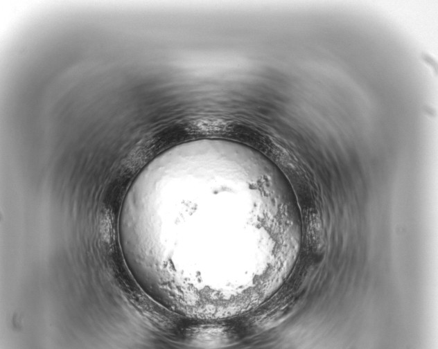 X0000093770651200710301206