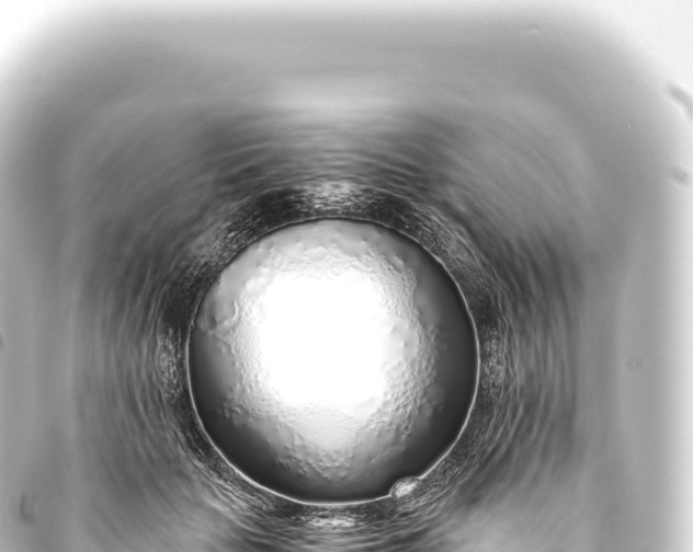 X0000093770653200710301206