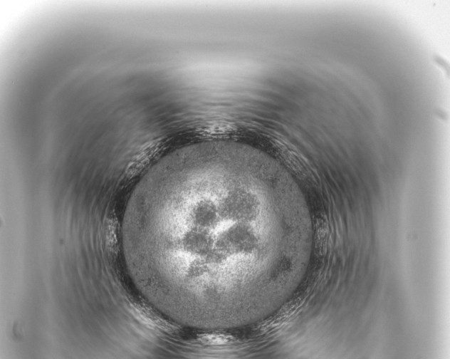 X0000093770654200710301206