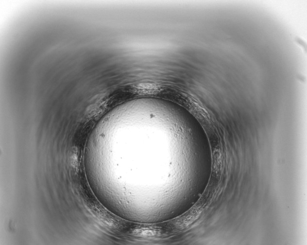 X0000093770655200710301206