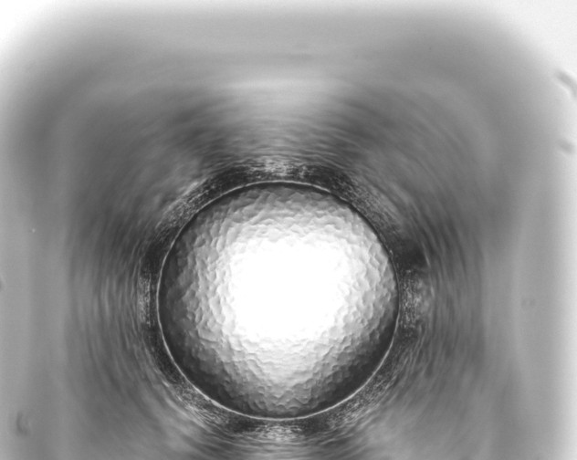 X0000093770656200710301206