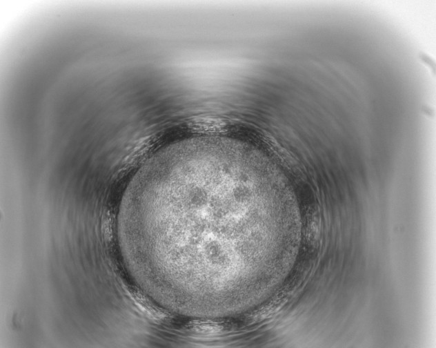 X0000093770658200710301206