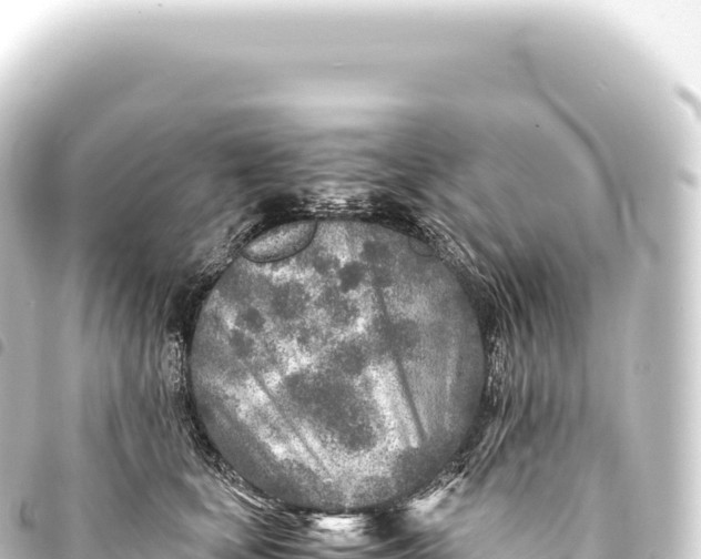 X0000093770659200710301206