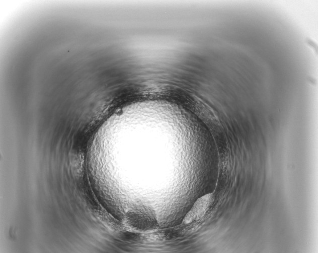 X0000093770660200710301206