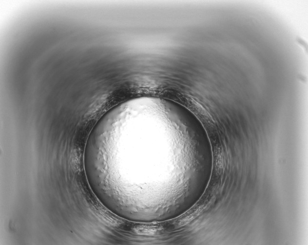 X0000093770661200710301206