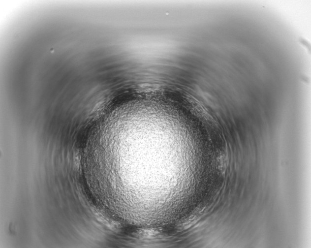 X0000093770662200710301206