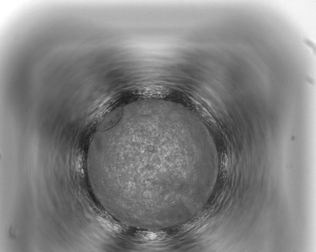 X0000093770663200710301206