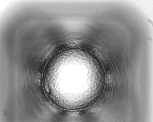 X0000093770664200710301206