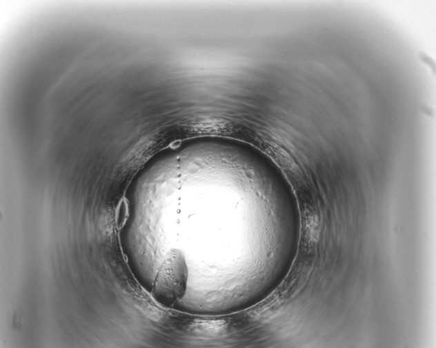 X0000093770665200710301206