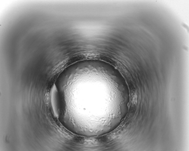 X0000093770666200710301206