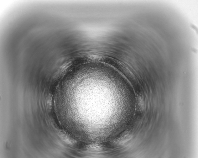 X0000093770668200710301206