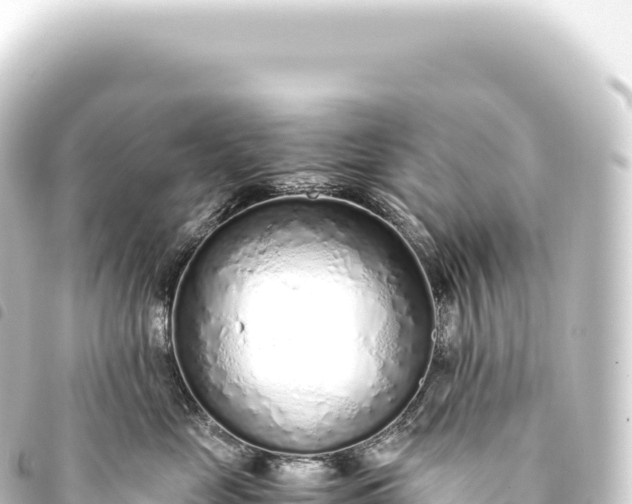 X0000093770669200710301206