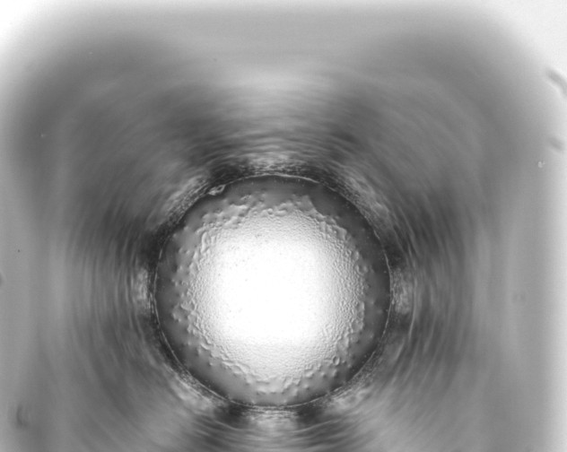 X0000093770670200710301206