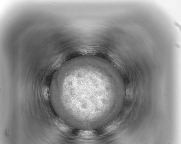 X0000093770671200710301206