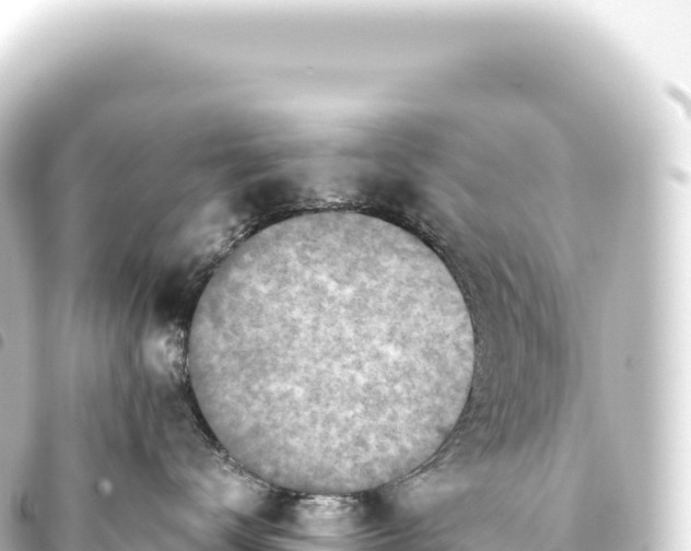 X0000093770672200710301206