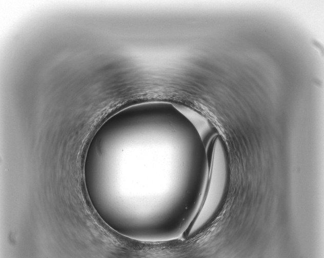 X0000093770673200710301206