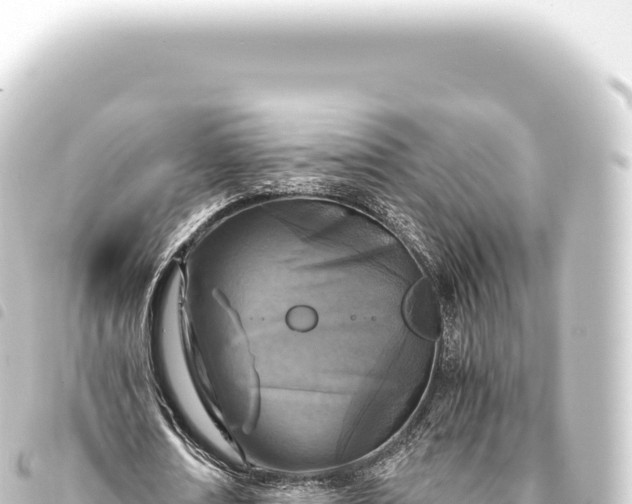 X0000093770674200710301206