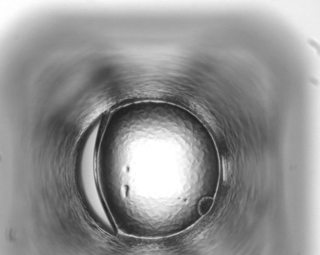 X0000093770675200710301206