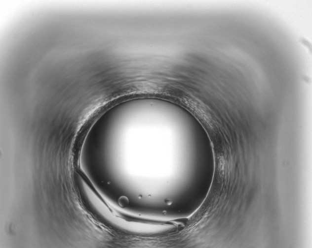 X0000093770676200710301206