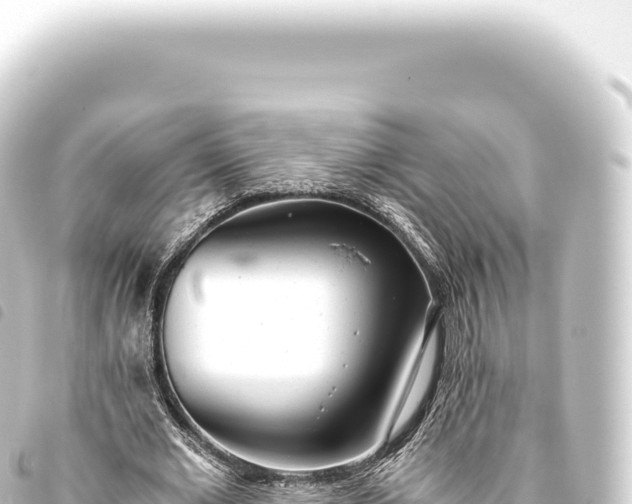 X0000093770677200710301206